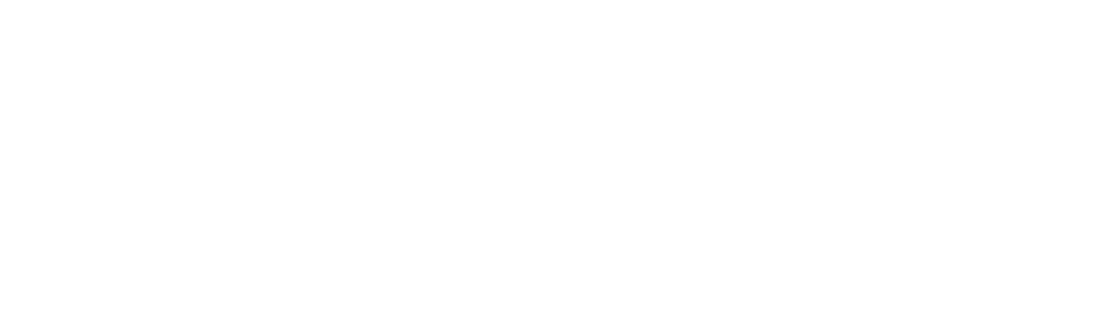 Xendit